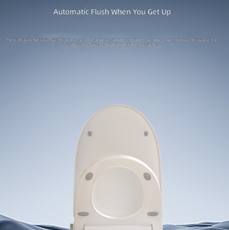 Heated Smart Toilet Seat, Auto - огляд і ціна Home In Bathroom