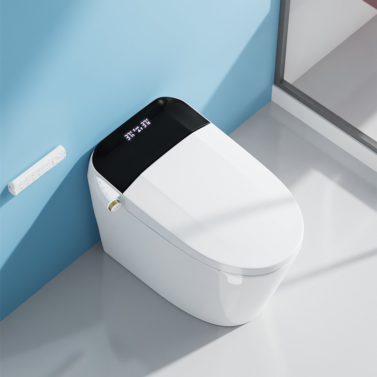 Home Decoration Bathroom Smart - огляд і ціна Home In Bathroom