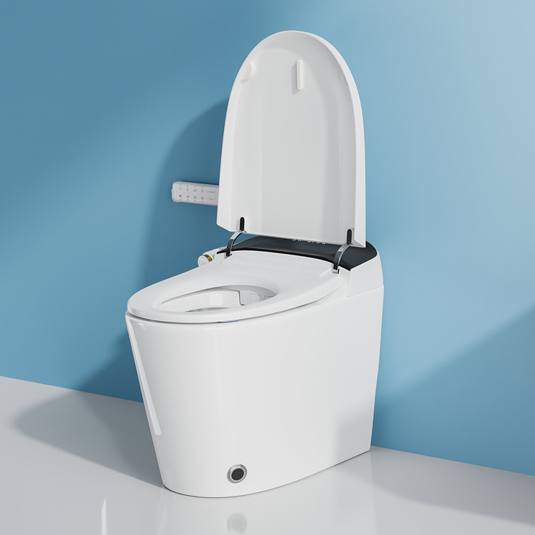 Home Decoration Bathroom Smart - огляд і ціна Home In Bathroom
